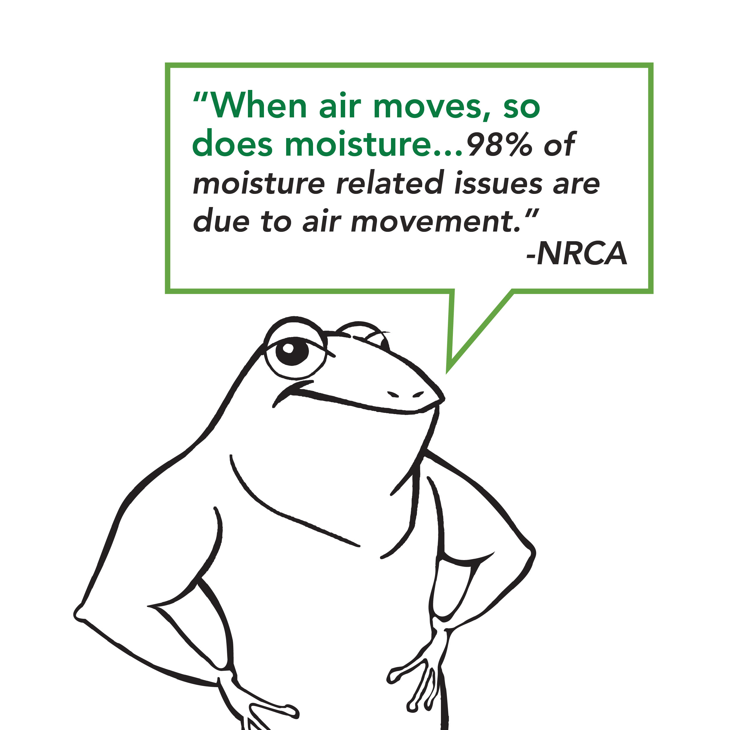 Frog Quote Image